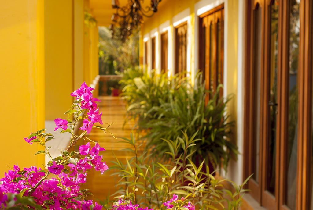 El Encanto Inn & Suites San José del Cabo Exterior photo